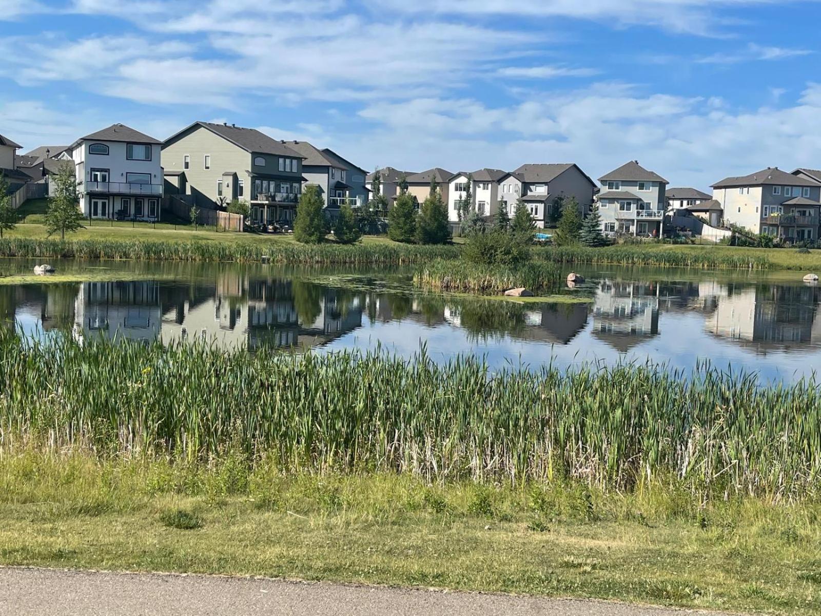 The Cozy Cove - Modern Private Basement Suite With Comfort & Charm Edmonton Exterior photo